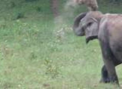 Bagdodra - Njp Station - Gangtok Tour