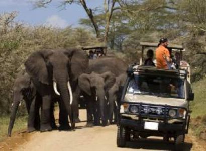 Best Of Kenya and Tanzania Tour