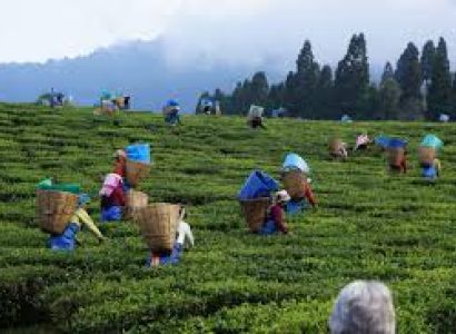 Northeast of India Tour