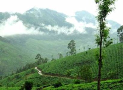 Kerala Tour Packages Vagamon