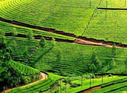 Tours To Kerala Deluxe Package
