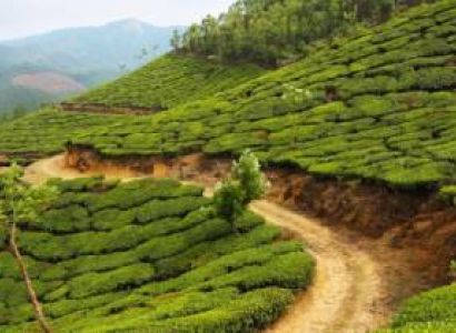 Kerala Package Tours Standard Package