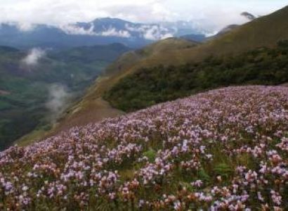 Munnar -Thekkady -Houseboat 6 Days Tour