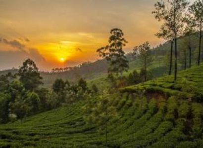 Cochin- Alleppey- Thekkady- Munnar- Kodaikanal Tour
