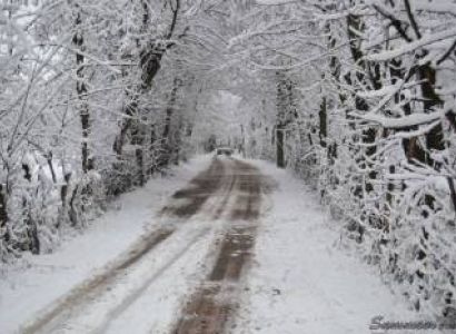 Kullu Manali Shimla Honeymoon Tour Packages from Bharuch Image