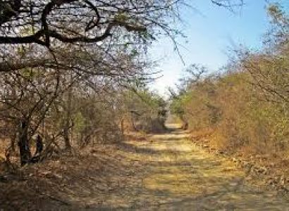 Kullu Manali Shimla Honeymoon Tour Packages from Rohtak