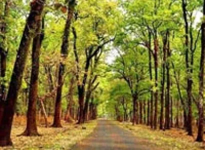 Kullu Manali Shimla Honeymoon Tour Packages from Karnal