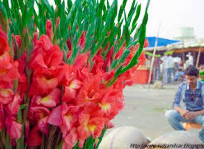 Kullu Manali Shimla Honeymoon Tour Packages from Thrissur