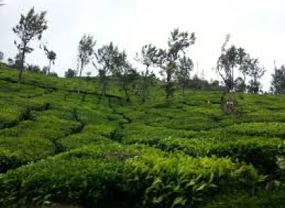 Kullu Manali Shimla Honeymoon Tour Packages from Ratlam