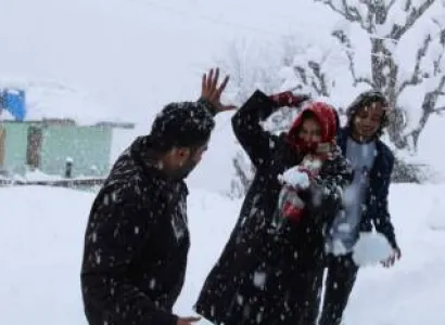Kullu Manali Shimla Honeymoon Tour Packages from Cuddalore