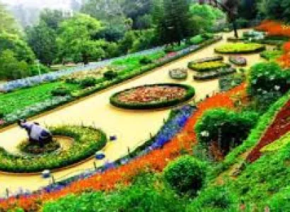 Bangalore, Mysore, Ooty Tour