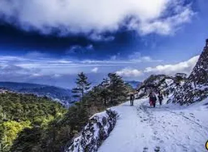 Sandhakphu Trekking 8n 9d Tour