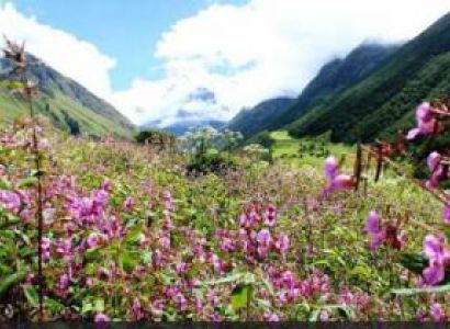 Valley of Flower Trek Tour