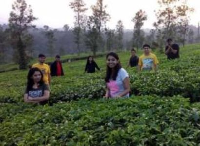 Honeymoon Packages - Bangalore to Coorg 2 Days (1 Night and 2 Days)