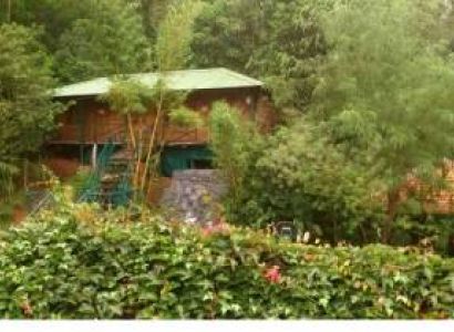 Honeymoon Packages - Mysore to Chickmagaluru 2 Days (1 Night and 2 Days)