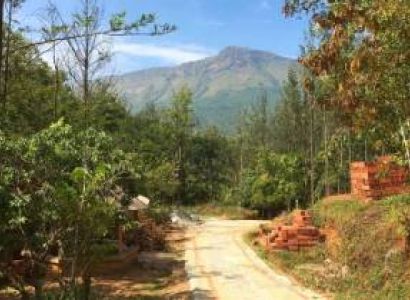 Honeymoon Packages - Mysore to Chickmagaluru 3 Days (2 Night and 3 Days)