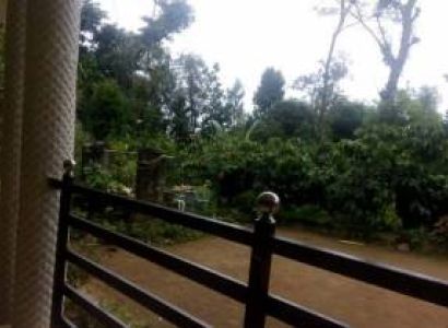 Honeymoon Packages - Mysore to Coorg 2 Days (1 Night and 2 Days)