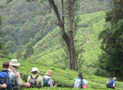Meesapulimala Trek and Camping Tour