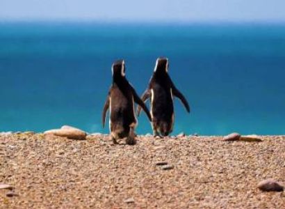 Astonishing Argentina Tour