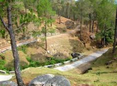 Nainital Ranikhet Package