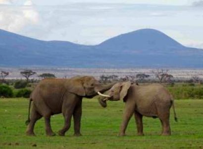 Adventurous Kenya Tour