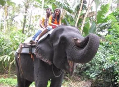 Serene Beauties Tour