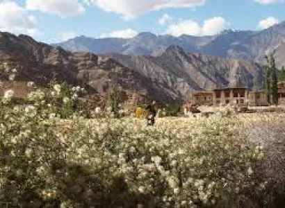 Sham Valley Trek Tour