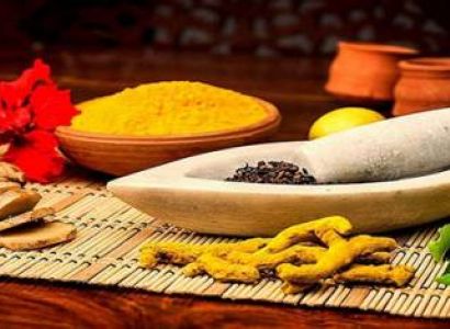 Spices of Kerala & Ayurveda Tour