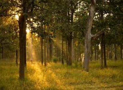 Nagpur – Pench – Nagpur Tour