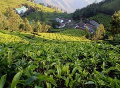 Highlights of Kerala Tour