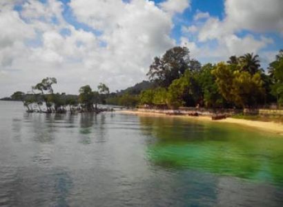 Baratang Rangat Tour