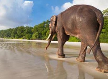 Enjoyable Andaman Tour