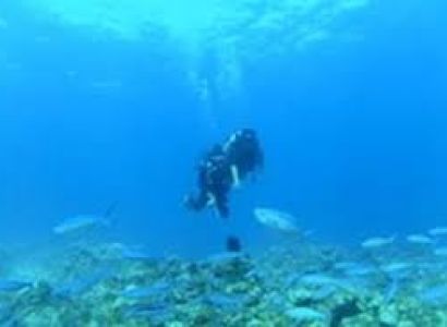 PADI Open Water Diving in Andaman Package