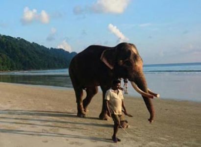Easy Escape Andaman Tour