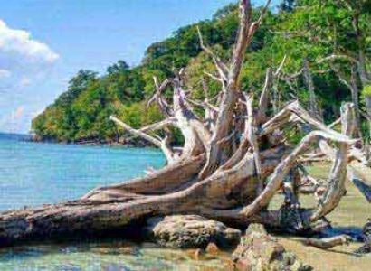 Andaman Escapade Tour