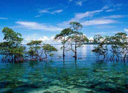 Ultimate Andaman Tour