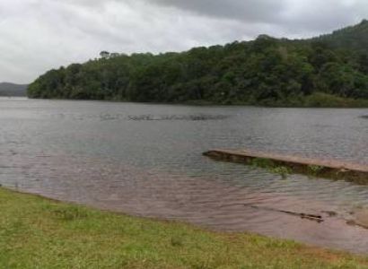 Kerala Trip: Hills, Backwaters & Safari Tour