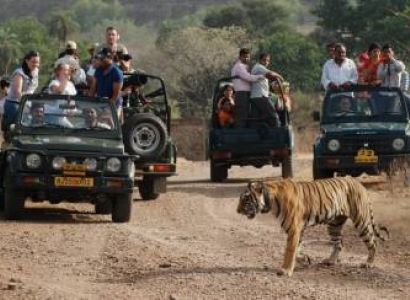Amazing Delhi - Agra - Ranthambore - Jaipur Tour