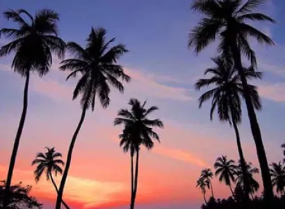 Mini Vacation – Sri Lanka 3 Days 2 Nights Tour