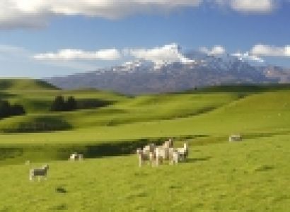 New Zealand - 100% Pure Tour