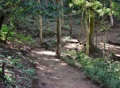 Rajahmundry To Maredimilli Tour