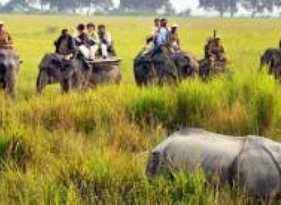 Rhinoland Tour Package