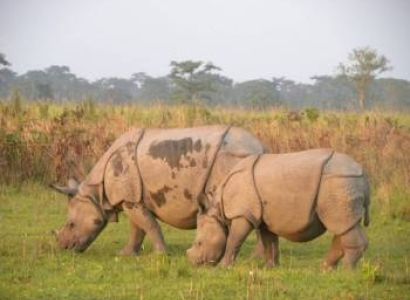 Guwahati-Kaziranga Tour