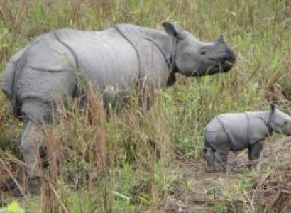 Guwahati-Kaziranga 5 Days Tour