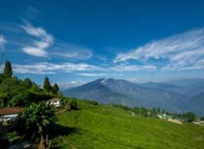 Darjeeling Kalimpong Pemayangtse Pelling Gangtok Tour