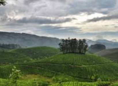 Kerala Special Tour- Munnar 2n - Thekkady 1n - Kumarakom 1n - Kovalam 2n Package