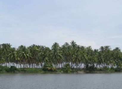 Kerala Special Tour - Cochin 1n - Munnar 2n - Thekkady 1n - Alleppey 1n - Athirapally 1n Package