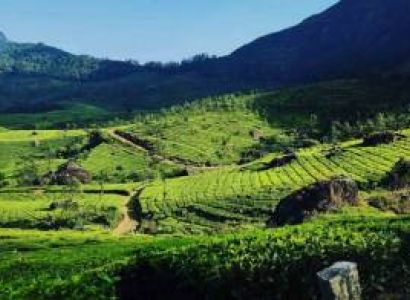 Kerala Special Tour - Munnar 2n - Thekkady 1n - Kumarakom 1n- Alleppey 1n - Kovalam 2n Package