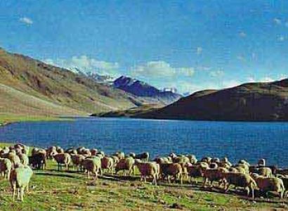 Chander Tal Trek Tour