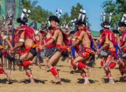 Hornbill Festival Group Tour